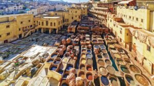 Tannerie traditionnelle de Fès